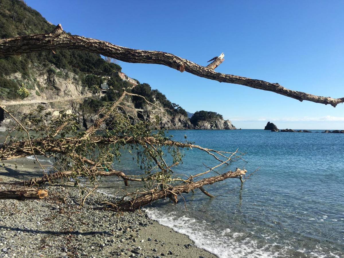 Le Cinque Vele ***** Cinque Terre Διαμέρισμα Μοντερόσο αλ Μάρε Εξωτερικό φωτογραφία