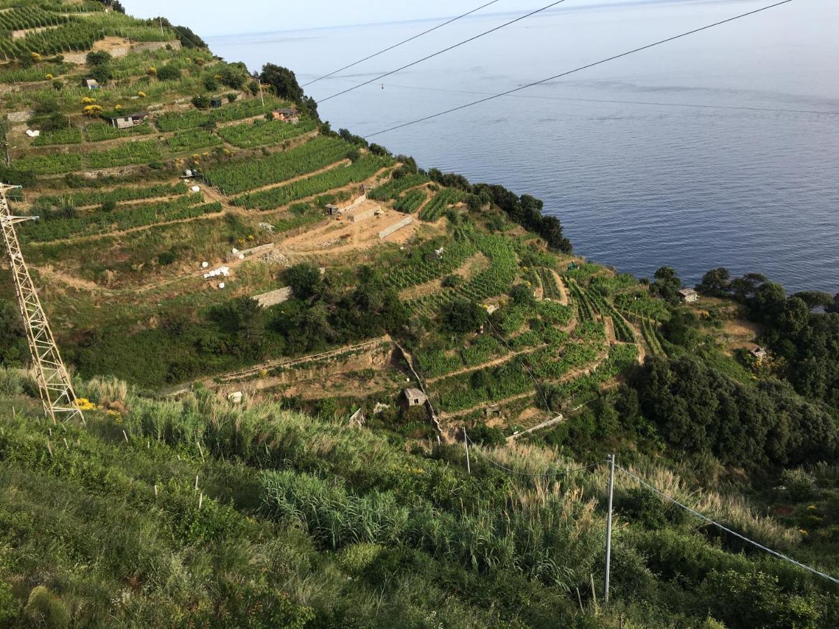 Le Cinque Vele ***** Cinque Terre Διαμέρισμα Μοντερόσο αλ Μάρε Εξωτερικό φωτογραφία