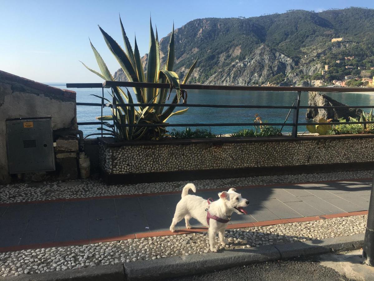 Le Cinque Vele ***** Cinque Terre Διαμέρισμα Μοντερόσο αλ Μάρε Εξωτερικό φωτογραφία